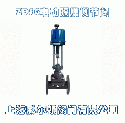 ZDSG電動隔膜調節(jié)閥
